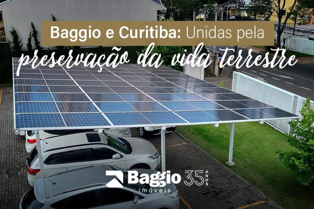 Baggio e Curitiba: Unidas pela preservação da vida terrestre Baggio e Curitiba: Unidas pela preservação da vida terrestre