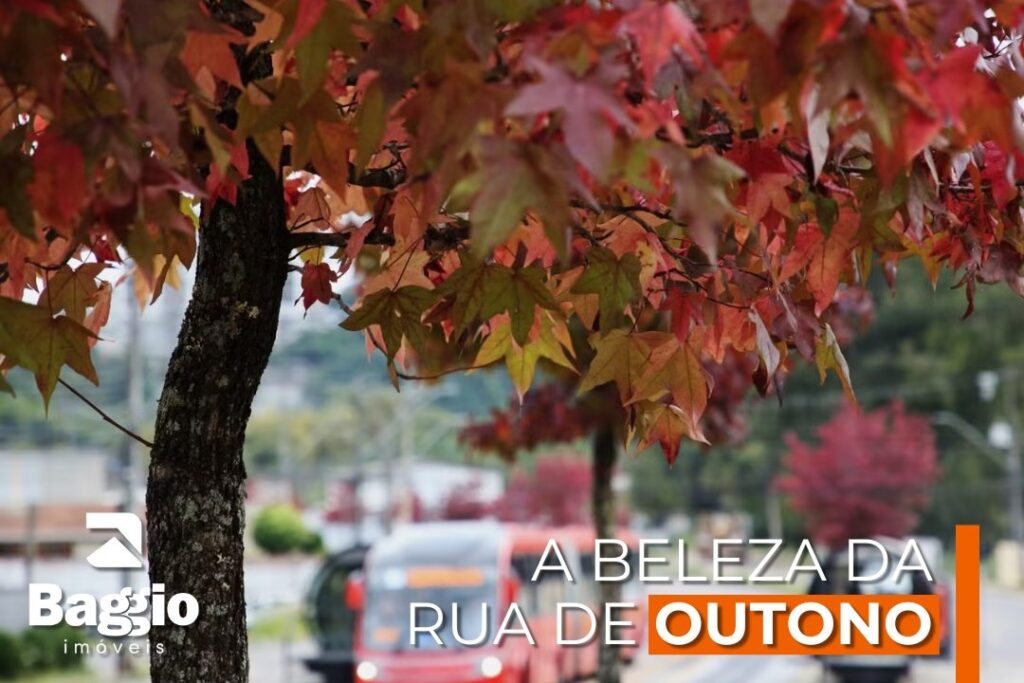 A Beleza da “Rua de Outono”