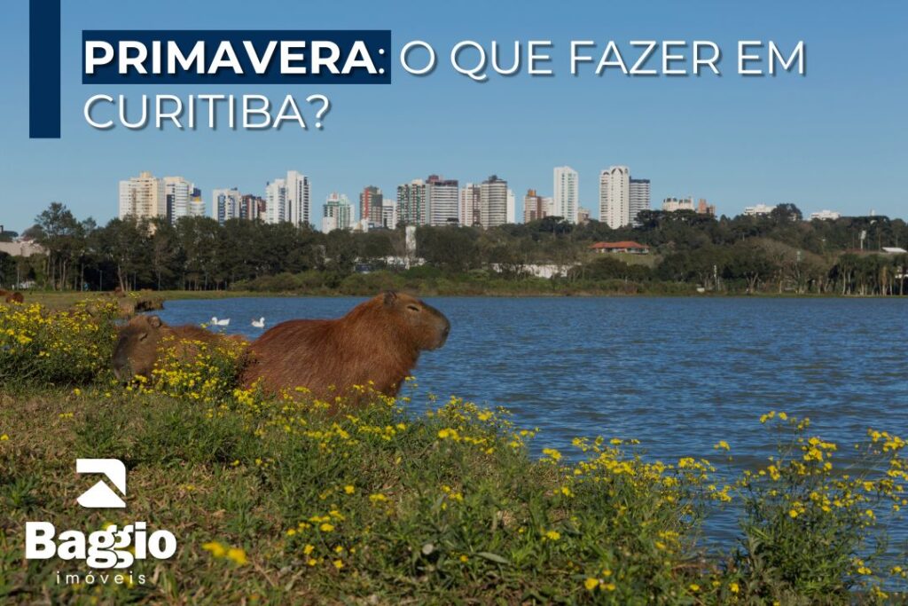 Primavera: O que fazer em Curitiba? Primavera: O que fazer em Curitiba?